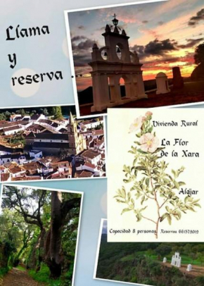 La Flor De La Xara Alajar